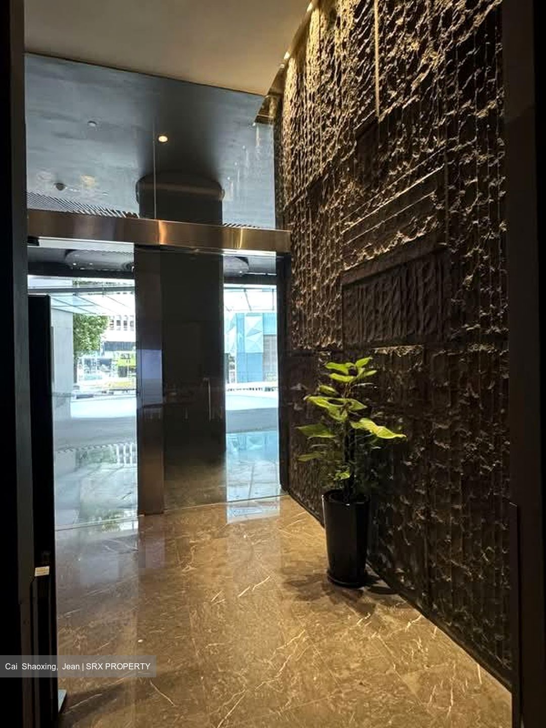 Skysuites@Anson (D2), Apartment #545301641